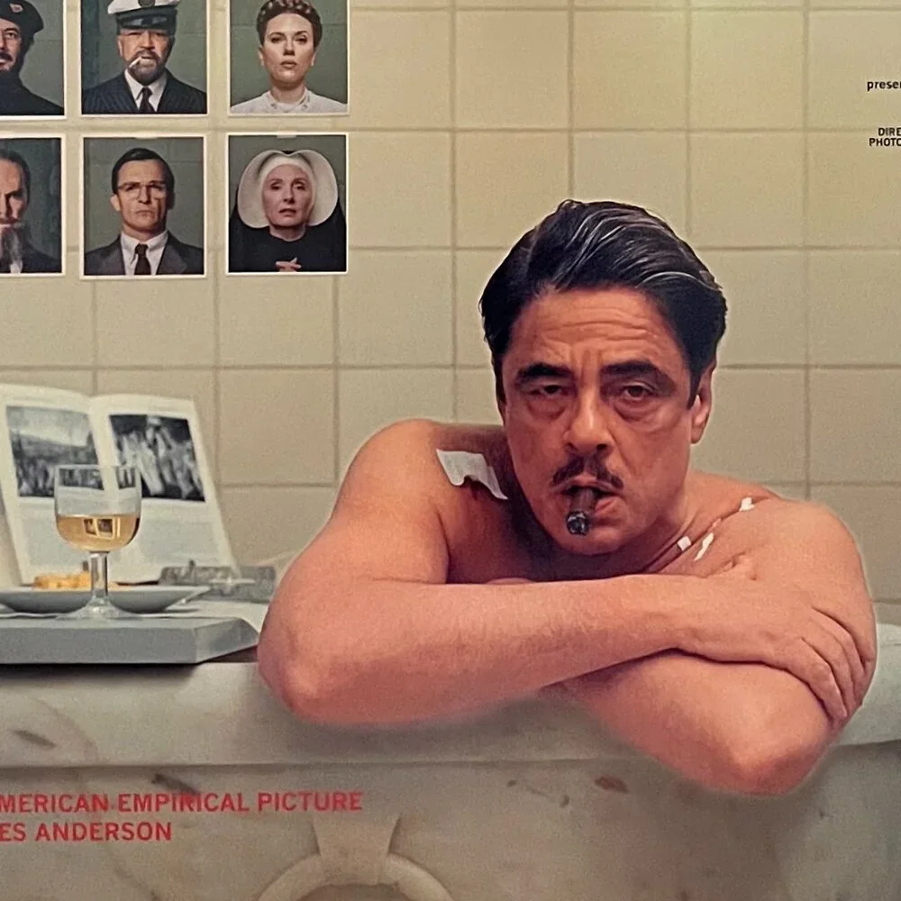 THE PHOENICIAN SCHEME (2025) - ORIGINAL DOUBLE SIDED MOVIE POSTER - Picture 2 of 2